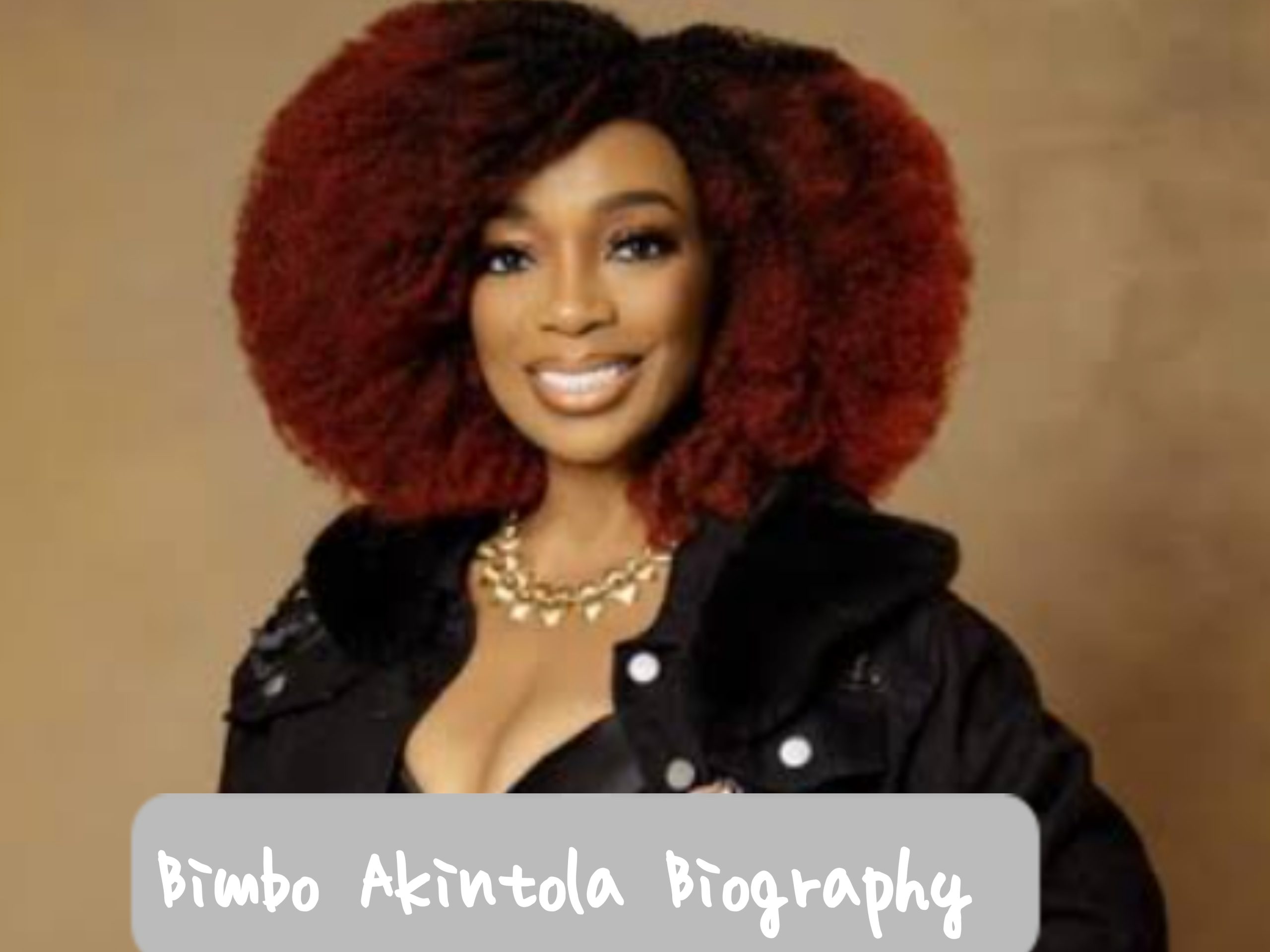Bimbo Akintola Biography