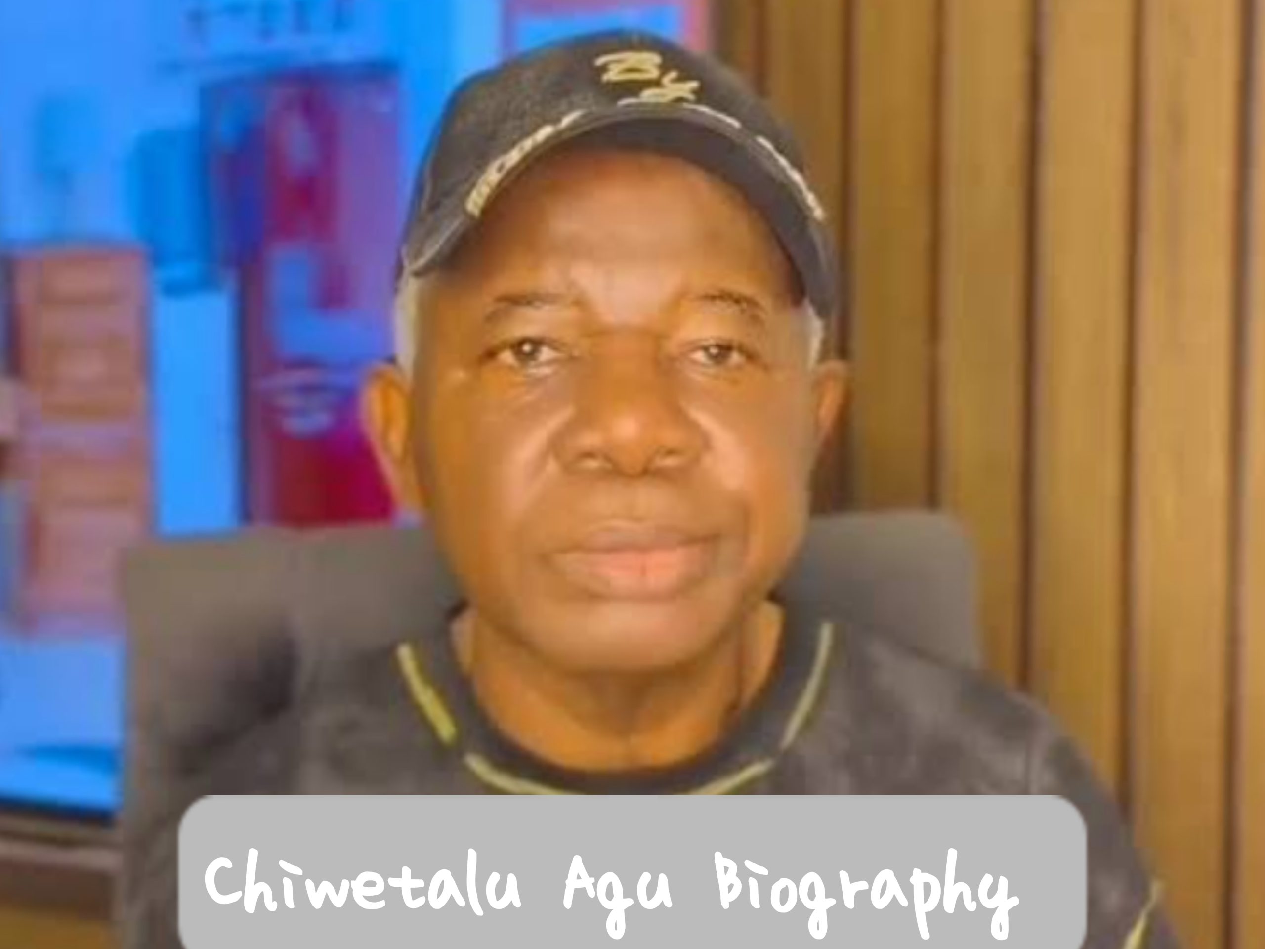 Chiwetalu Agu Biography